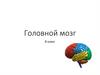 Головной мозг. 8 класс