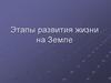 Этапы развития жизни на Земле