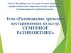 Размножение древесно- кустарниковых культур. Семенное размножение. Тема 3.1