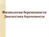 Физиология беременности