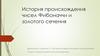 История происхождения чисел фибоначчи и золотого сечения