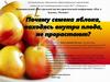 Изучение влияния внешних факторов на проращивание семян яблони