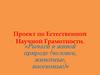 Рычаги в живой природе (человек, животные, насекомые)
