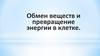 Обмен веществ и превращение энергии в клетке