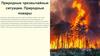 Природные чрезвычайные ситуации. Природные пожары