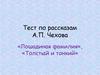 Тест по рассказам А.П. Чехова «Лошадиная фамилия», «Толстый и тонкий»