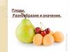Плоды. Разнообразие и значение