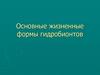 Основные жизненные формы гидробионтов