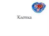Клетка