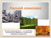 Лесной комплекс