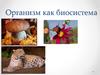 Организм как биосистема