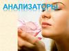 Анализаторы