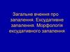 Загальне вчення про запалення. Ексудативне запалення. Морфологія ексудативного запалення