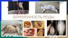 Беременность. Роды