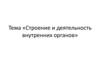 Строение и деятельность внутренних органов. Пищеварительная система