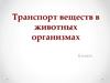 Транспорт веществ в животных организмах. 8 класс