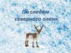По следам северного оленя