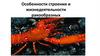 Особенности строения и жизнедеятельности ракообразных