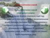 Экология. День экологических знаний