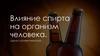 Влияние спирта на организм человека