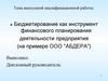 Бюджетирование как инструмент финансового планирования деятельности предприятия (на примере ООО "Абреда")