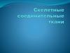 Скелетная ткань