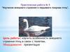 Изучение внешнего строения и перьевого покрова птиц. Практическая работа № 5