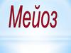 Мейоз - особый вид деления клетки, при котором число хромосом в дочерних клетках становится гаплоидным