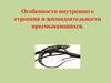 Особенности внутреннего строения и жизнедеятельности пресмыкающихся