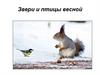 Звери и птицы весной