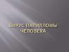 Вирусы папилломы человека (ВПЧ)