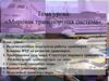 Мировая транспортная система