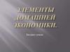Элементы домашней экономики