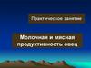 Молочная и мясная продуктивность овец. Практическое занятие. Урок 183-184