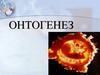 Онтогенез