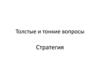 Стратегия. Толстые и тонкие вопросы