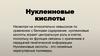 Нуклеиновые кислоты