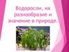 Водоросли, их разнообразие и значение в природе  (7 класс)