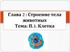 Строение тела животных. Клетка. Общие сведения