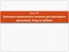 Значение правильного питания для растущего организма. Уход за зубами. Урок 34