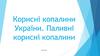 Корисні копалини України. Паливні корисні копалини  (8 клас)