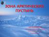 Зона арктических пустынь