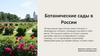 Ботанические сады в России