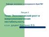 Экономический рост и макроэкономическая нестабильность  (лекция 5)