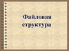 Файловая структура. Файловая система