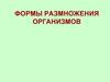 Формы размножения организмов