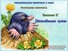 Обыкновенные кроты. Занятие 17