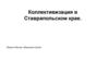 Коллективизация в Ставропольском крае. Экономика Ставропольского уезда
