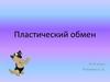 Пластический обмен