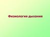 Физиология дыхания  (лекция 7)